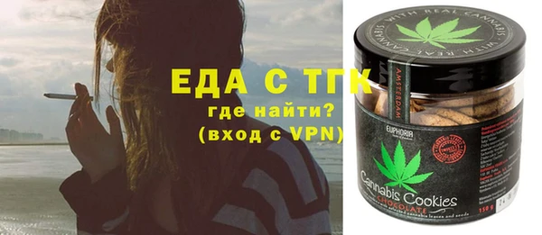 индика Волоколамск