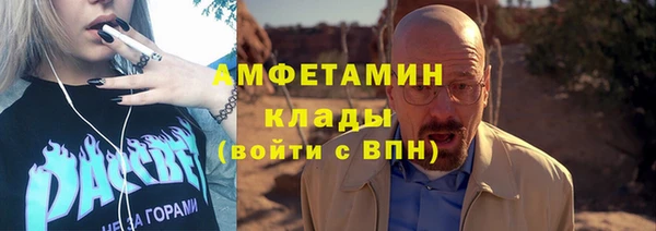 индика Волоколамск