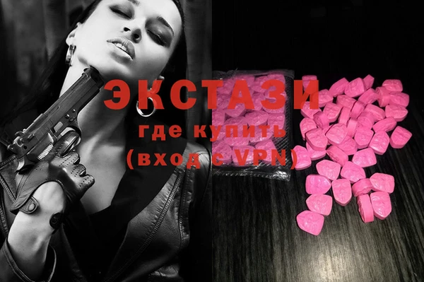 индика Волоколамск