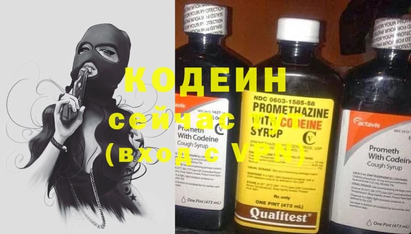 индика Волоколамск