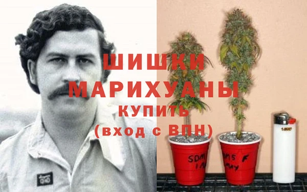 не бодяженный Семёнов
