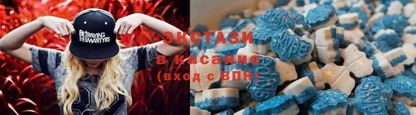индика Волоколамск