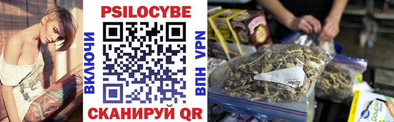Псилоцибиновые грибы Cubensis  Иланский 